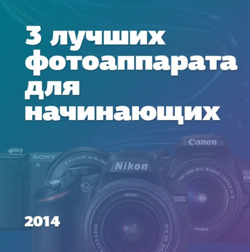 Лучшие фотоаппараты для начинающих фотографов: обзор моделей Лучшие фотоаппараты для