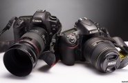 Canon 5D mark II vs Nikon D800