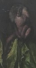Ian Cornelisz Vermeyen - fragment