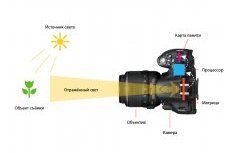 Как устроен фотоаппарат и какие бывают фотоаппараты