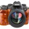 Cost Of Professional Camera
