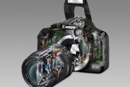 Выбор лучшего фотоаппарата для начинающего фотографа